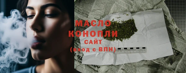 мдпв Бородино