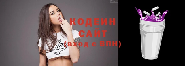 мдпв Бородино