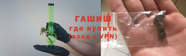 мдпв Бородино