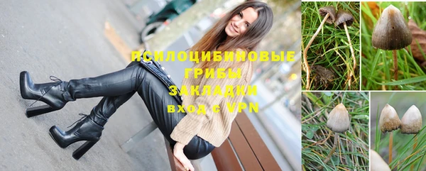 apvp Бронницы