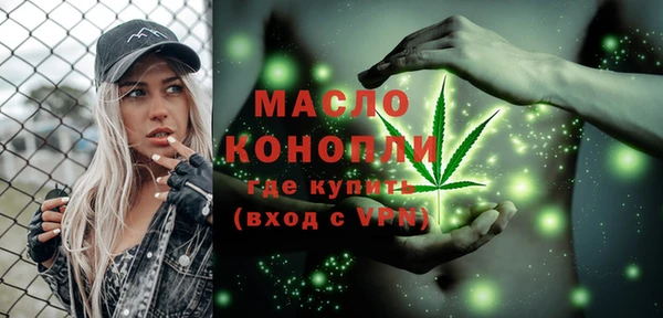 мдпв Бородино