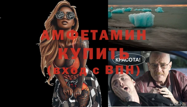 мдпв Бородино